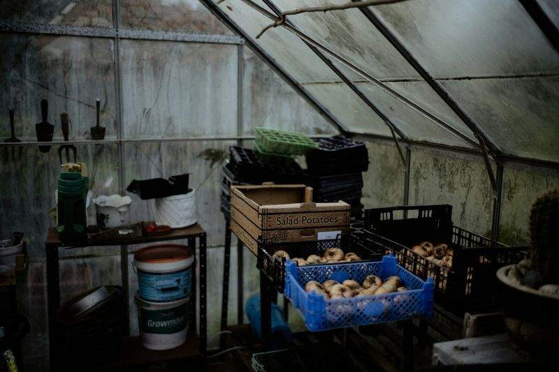 Fjordhage Garteservice AS 10