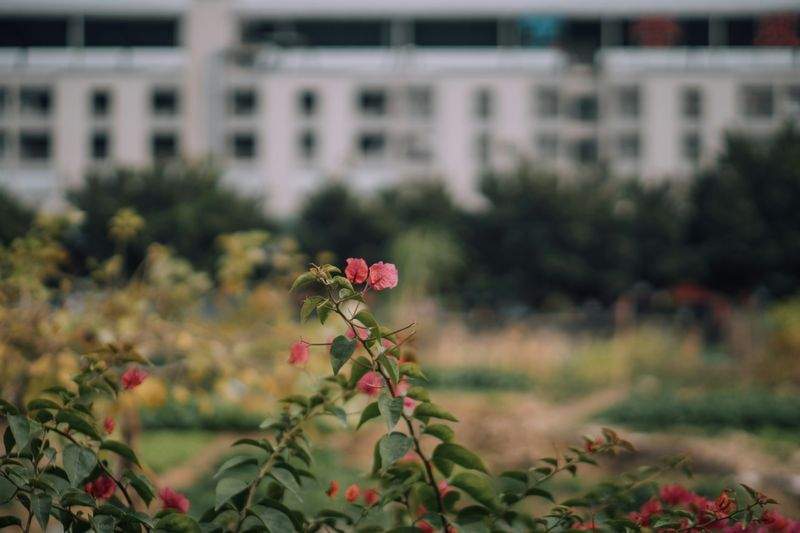 Fjordhage Garteservice AS 11