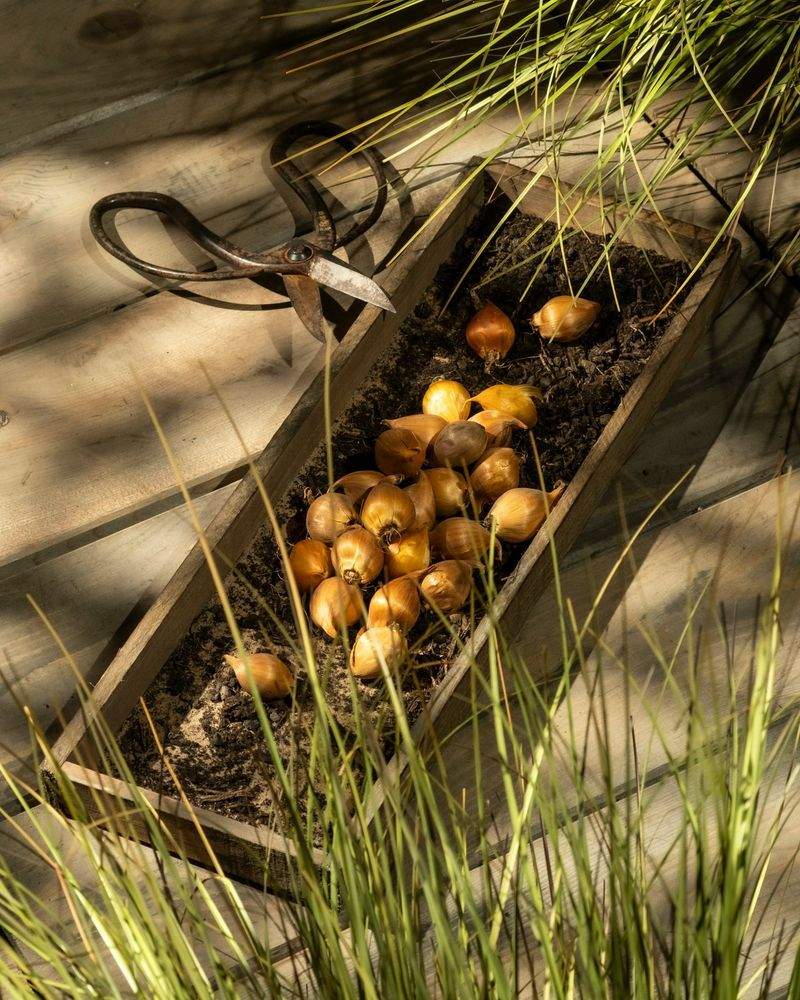 Fjordhage Garteservice AS 5